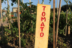 Watercolour session in the Community Garden