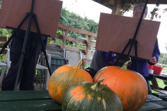 Watercolour session in the Community Garden