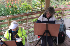 Watercolour session in the Community Garden