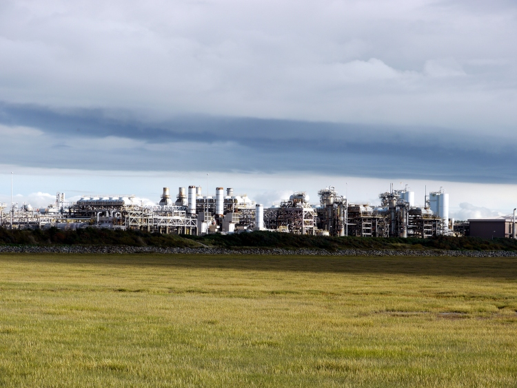 Urban Retreat - Bird Walk with Martin Norris