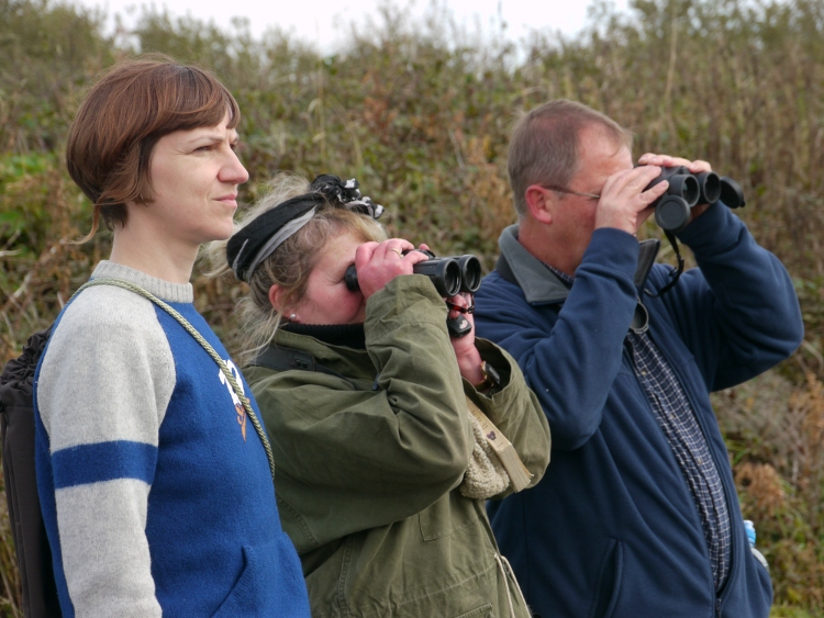 Urban Retreat - Bird Walk with Martin Norris